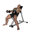 Anterior Raise - Incline Dumbbell